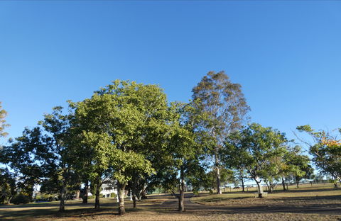 Forest Lodge Highfields - Tourism Brisbane 6