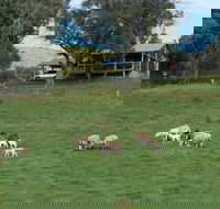 Gaddleen Grove Cottages - Tourism Brisbane