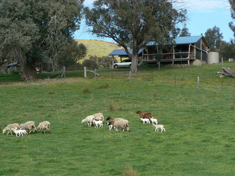 Gaddleen Grove Cottages - Tourism Brisbane 0