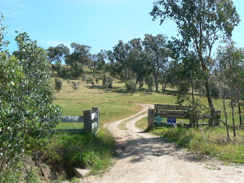 Gaddleen Grove Cottages - Tourism Brisbane 3