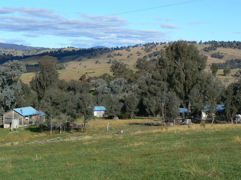 Gaddleen Grove Cottages - Tourism Brisbane 7