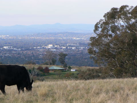 Gaddleen Grove Cottages - Tourism Brisbane 8