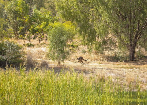 Girragirra Retreat - Tourism Brisbane 7