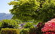 Greatview Holiday Spa Retreat For Couples - thumb 4