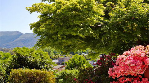 Greatview Holiday Spa Retreat For Couples - Tourism Brisbane 4