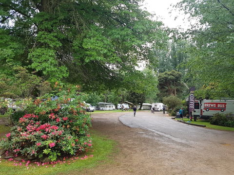 Harrietville Cabins And Caravan Park - Tourism Brisbane 8