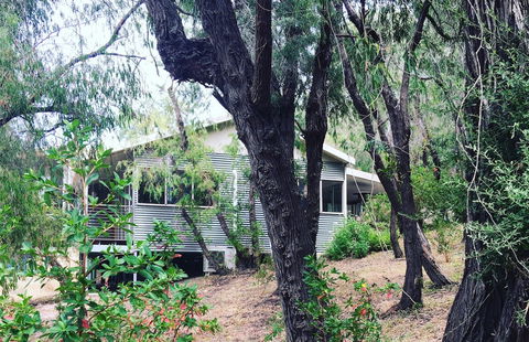 Kangaroo Hollow Preston Beach - Brisbane Tourism 8