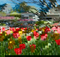 Nesuto Leura Gardens Hotel - Brisbane Tourism