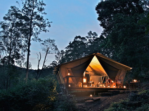 Nightfall  Camp - Tourism Brisbane 1