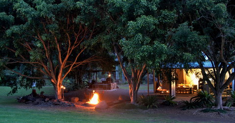 Nightfall  Camp - Tourism Brisbane 3