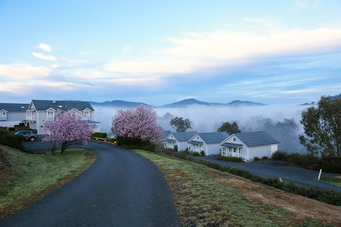 Nimbo Fork - Tourism Brisbane 9