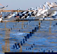 Pelican Perch Retreat - Tourism Brisbane