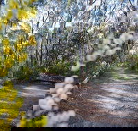 Perrys lookdown campground