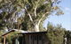 Quorn Caravan Park - thumb 3