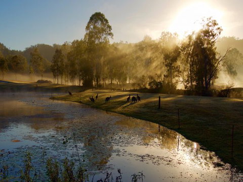 Ramada Resort Kooralbyn Valley - Tourism Brisbane 6