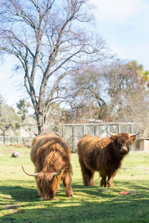 Ratho Farm - Brisbane 4u 8