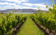 Riversdale Estate Cottages - thumb 1