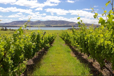 Riversdale Estate Cottages - Tourism Brisbane 1