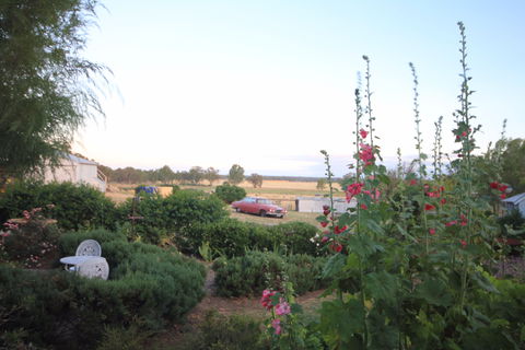 Rostrata Country House - Brisbane 4u 7