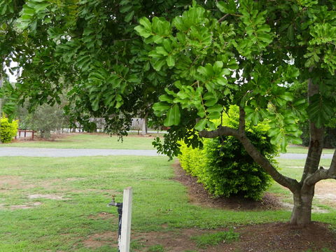 Secura Lifestyle North Gold Coast - Brisbane 4u 8
