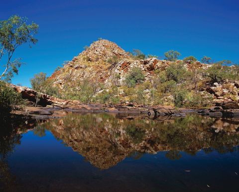 Silent Grove Camp At Wunaamin Miliwundi Ranges Conservation Park - Brisbane Tourism 0