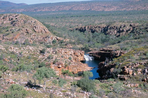 Silent Grove Camp At Wunaamin Miliwundi Ranges Conservation Park - Brisbane Tourism 1