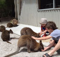 The Patriarch Wildlife Sanctuary Camping Ground - Tourism Brisbane