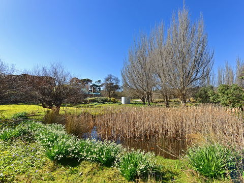 Ventnor Guest House - Tourism Brisbane 9