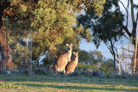Abercrombie Ridge - Brisbane 4u 7