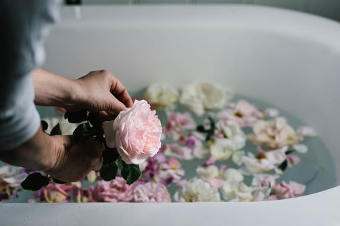Acre Of Roses - Brisbane Tourism 5
