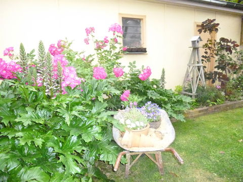 Aggies Bed And Breakfast - Brisbane 4u 2