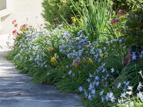 Austin Rise B&B - Tourism Brisbane 2