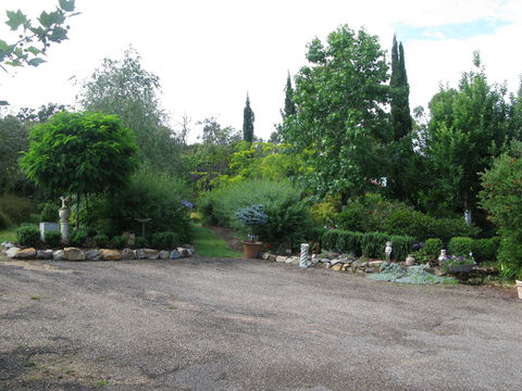 Blossoms Bed And Breakfast - Brisbane Tourism 6