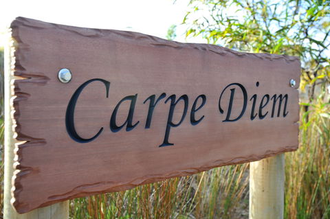 Carpe Diem - Tourism Brisbane 0