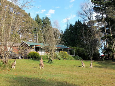 Cedar Lodge Cabins - Tourism Brisbane 0