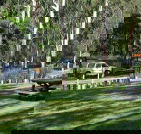 Chaelundi campground - Tourism Brisbane