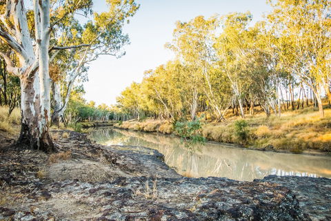 Condamine River Caravan Park - Tourism Brisbane 1