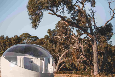 Coonawarra Bubble Tents - Brisbane 4u 0