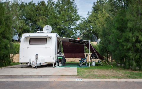 Dongara Tourist Park - Brisbane Tourism 2