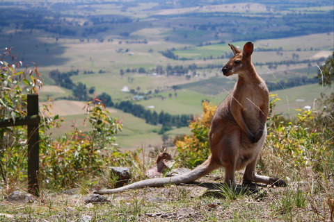 Eaglereach Wilderness Resort - Tourism Brisbane 0