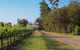 Emma's Cottage Vineyard - thumb 1
