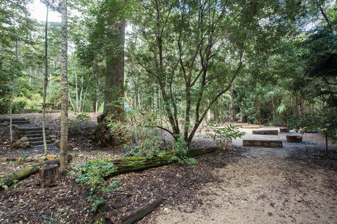 Eungella National Park Camping - Brisbane 4u 0