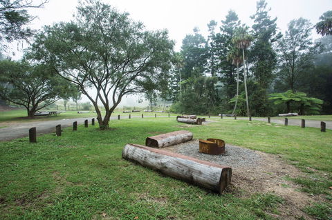 Eungella National Park Camping - Brisbane 4u 1