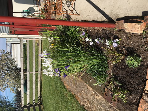 Fairview Bed And Breakfast Cottage - Brisbane 4u 2