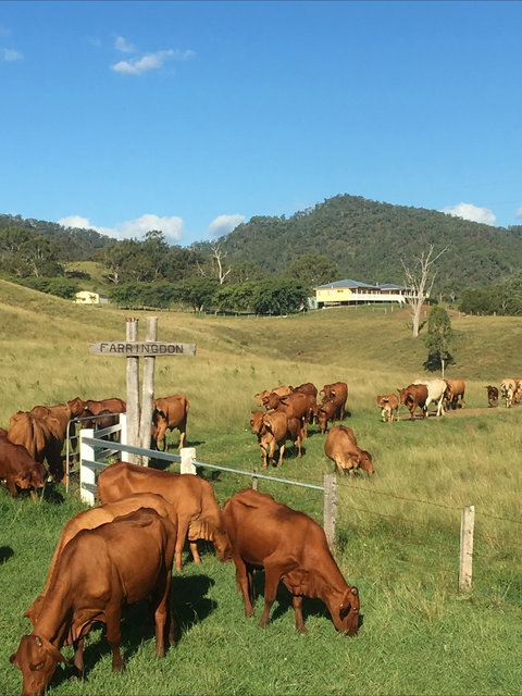 Farringdon Homestead - Tourism Brisbane 0