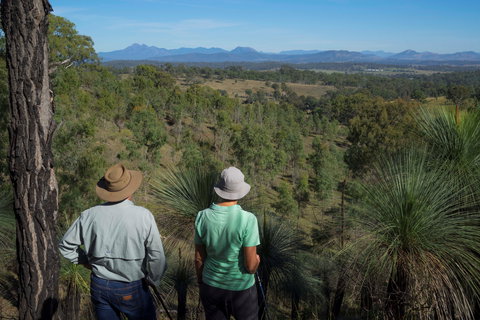Farringdon Homestead - Tourism Brisbane 7