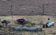 Farringdon Homestead - thumb 8