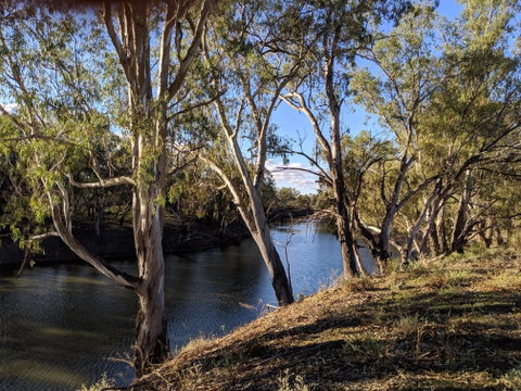 Four Mile Camping Reserve - Tourism Brisbane 2