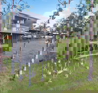 Gold Coast Tree Houses - Tourism Brisbane