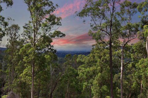 Gold Coast Tree Houses - Tourism Brisbane 2